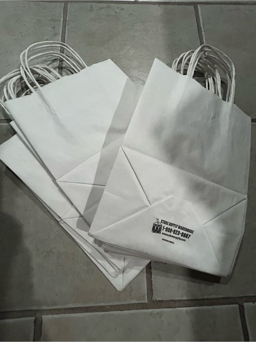White Paper Gift Bags with Twisted Handles (Set)